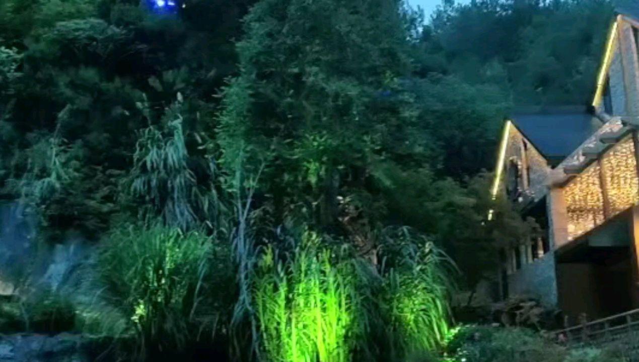 火腿肠什么牌子的质量好